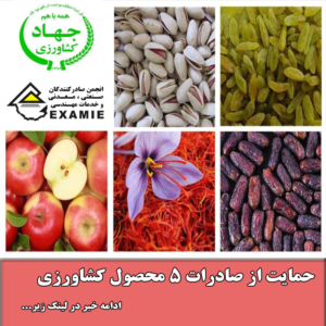 حمایت از صادرات ۵ محصول کشاورزی