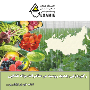 رکوردزنی جدید روسیه در صادرات مواد غذایی