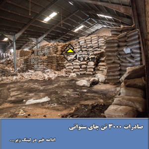 صادرات ۳۰۰۰ تن چای سنواتی