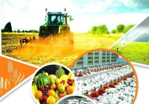 تراز کشاورزی همچنان مثبتتر از پارسال