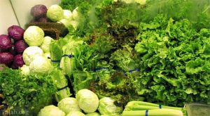 دلارهای صادراتی کاهو