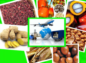 صادرات کالاهای غیرنفتی