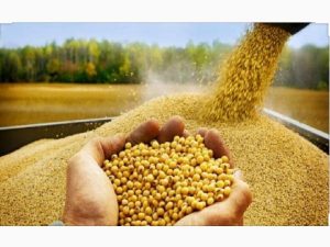 سیاستهای جدید صادراتی کشورها در دوره شیوع ویروس کرونا