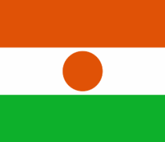 همکاری تجاری با کشور نیجر