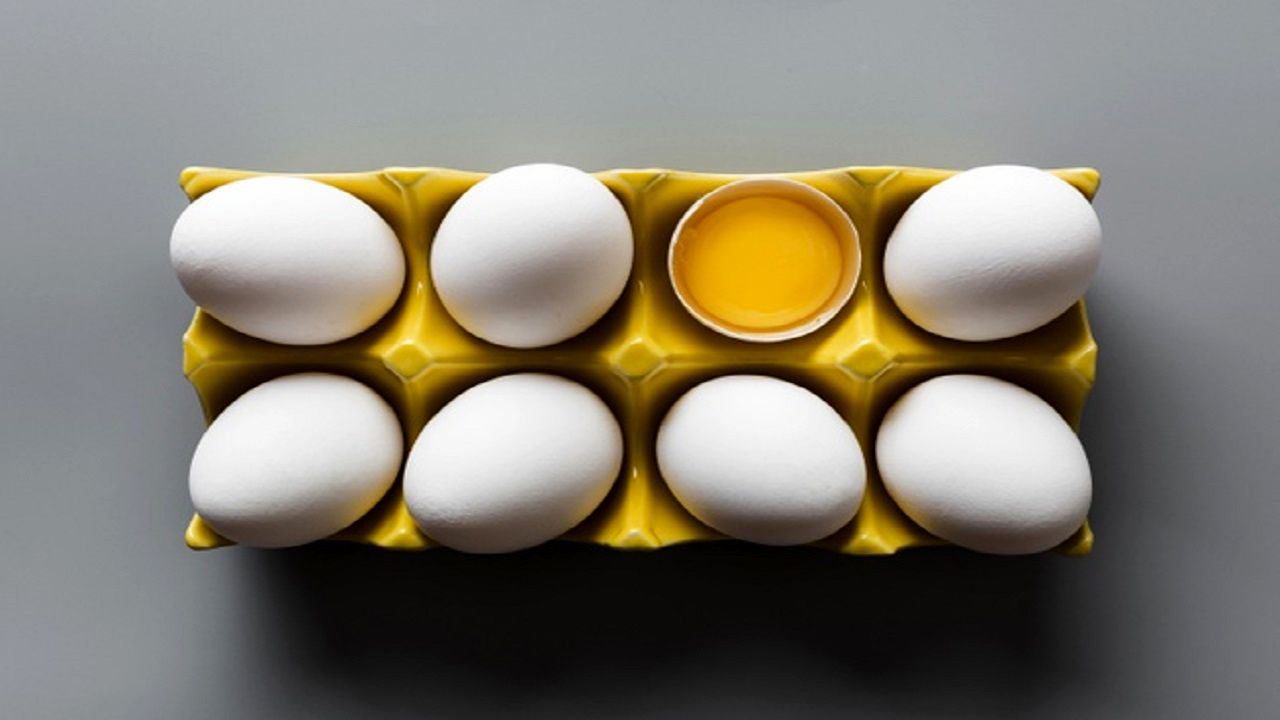 صادرات تخم مرغ ممنوع نیست