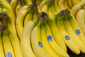 گزارش تجارت موز در جهان